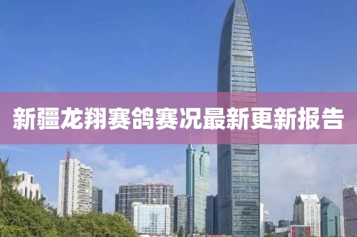 新疆龙翔赛鸽赛况最新更新报告