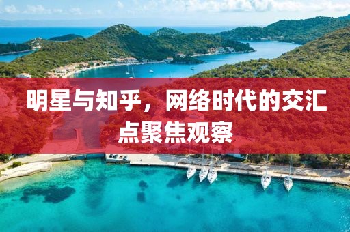 明星与知乎，网络时代的交汇点聚焦观察