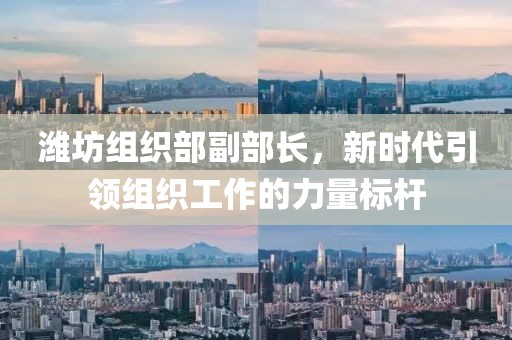 潍坊组织部副部长，新时代引领组织工作的力量标杆