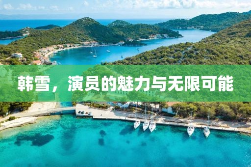 韩雪，演员的魅力与无限可能