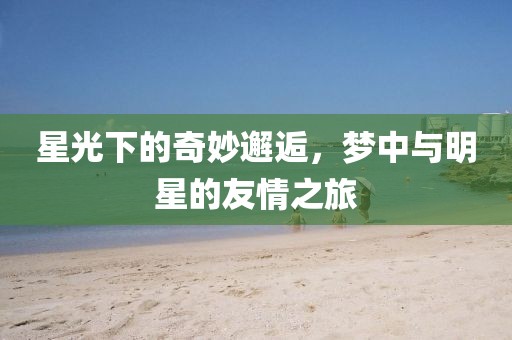 星光下的奇妙邂逅，梦中与明星的友情之旅
