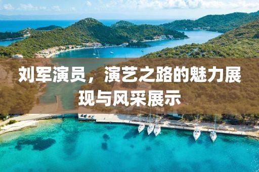 刘军演员，演艺之路的魅力展现与风采展示