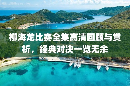 柳海龙比赛全集高清回顾与赏析，经典对决一览无余