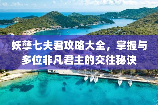 妖孽七夫君攻略大全，掌握与多位非凡君主的交往秘诀