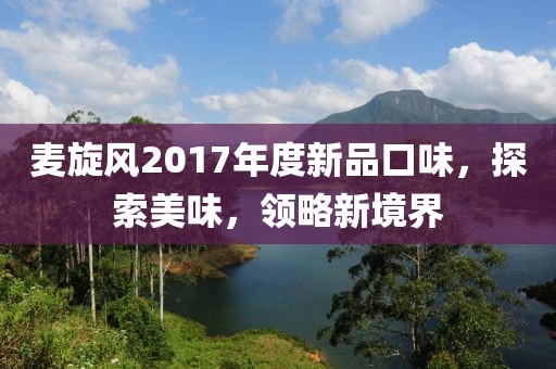 麦旋风2017年度新品口味，探索美味，领略新境界