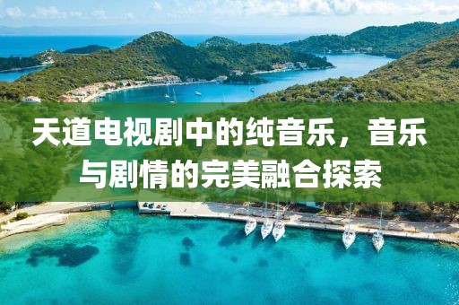 天道电视剧中的纯音乐，音乐与剧情的完美融合探索