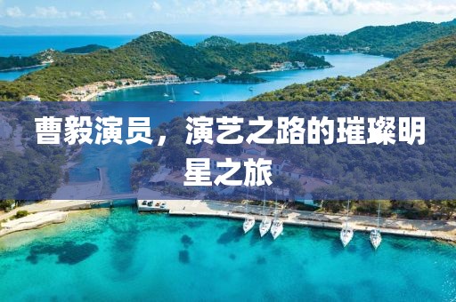曹毅演员，演艺之路的璀璨明星之旅
