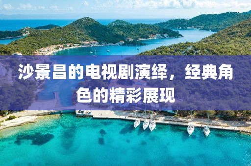 沙景昌的电视剧演绎，经典角色的精彩展现