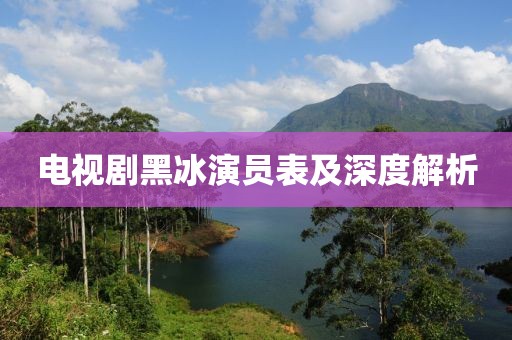 电视剧黑冰演员表及深度解析