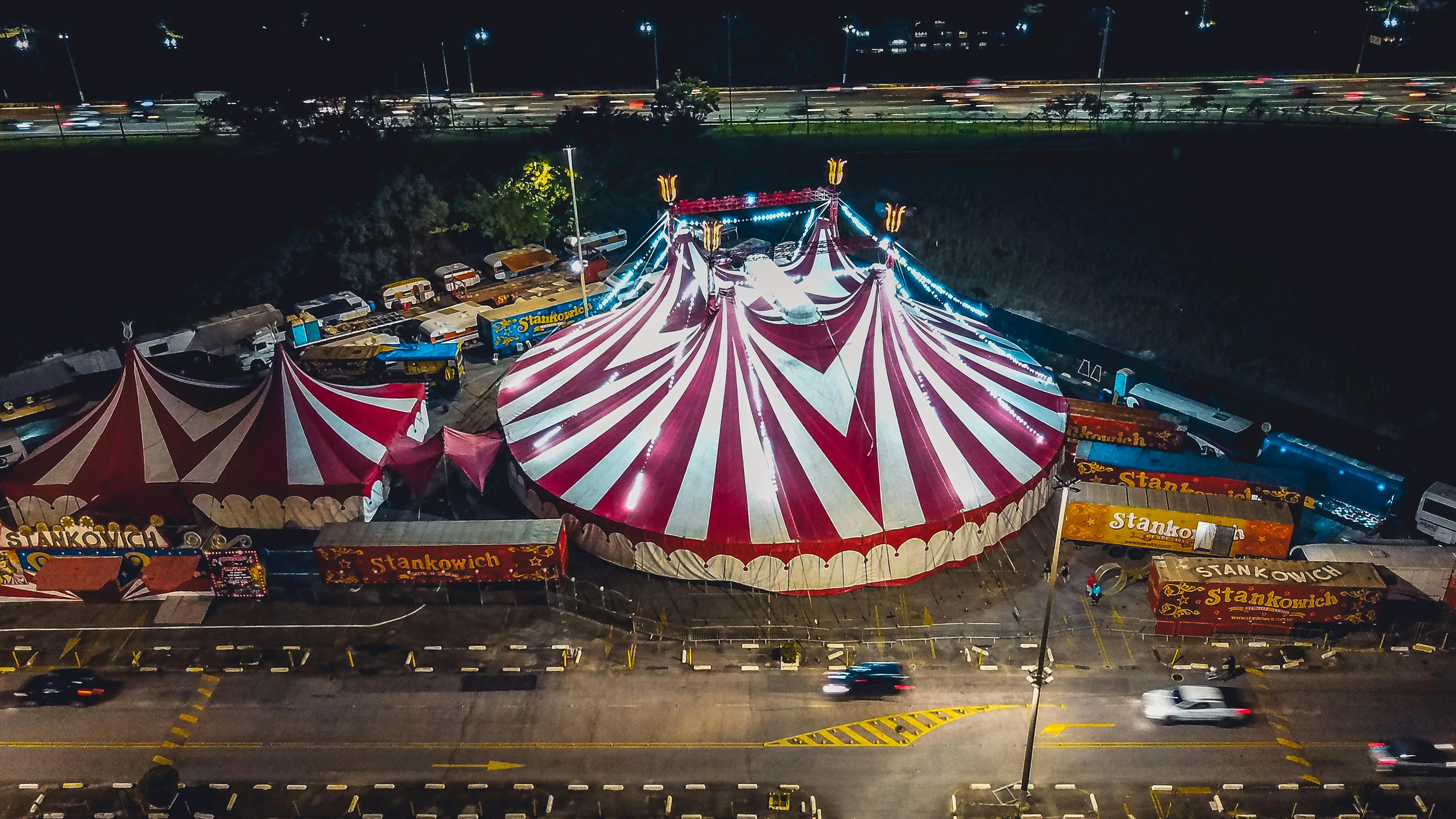 丹参最新市场价格及动态分析概览