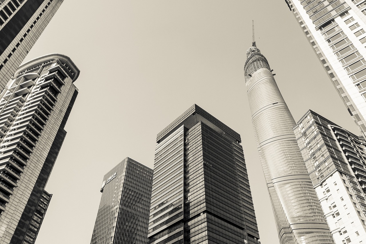 成都鲁能城最新房价概览，市场走势与购房指南
