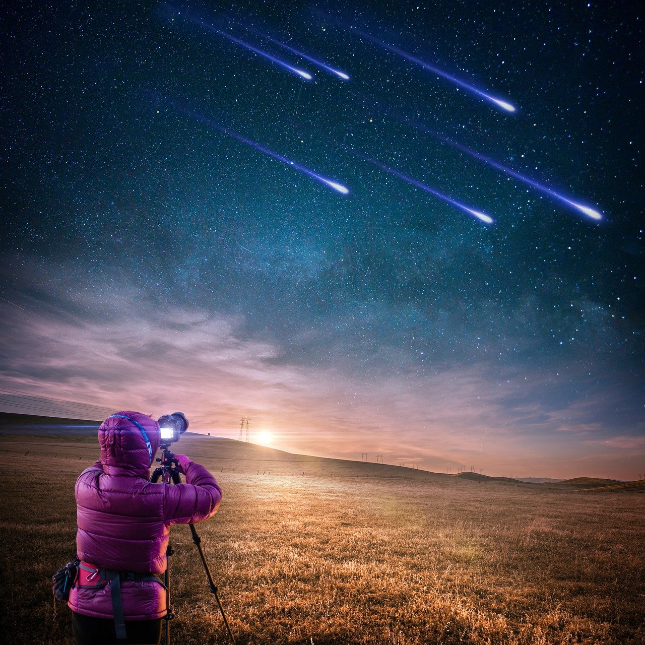 陆氏男明星，星光璀璨的魅力无限之旅